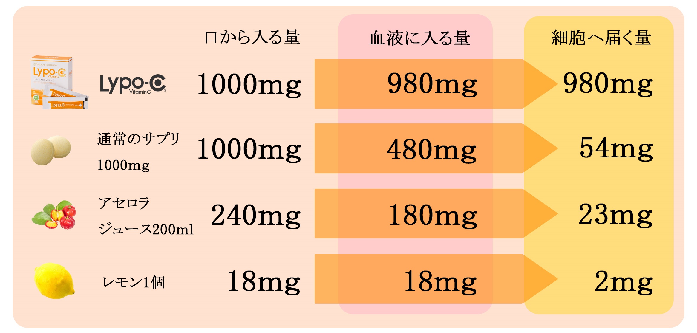 リポカプセルビタミンC(1000㎎)｜横浜・桜木町の【テティス横濱美容 ...