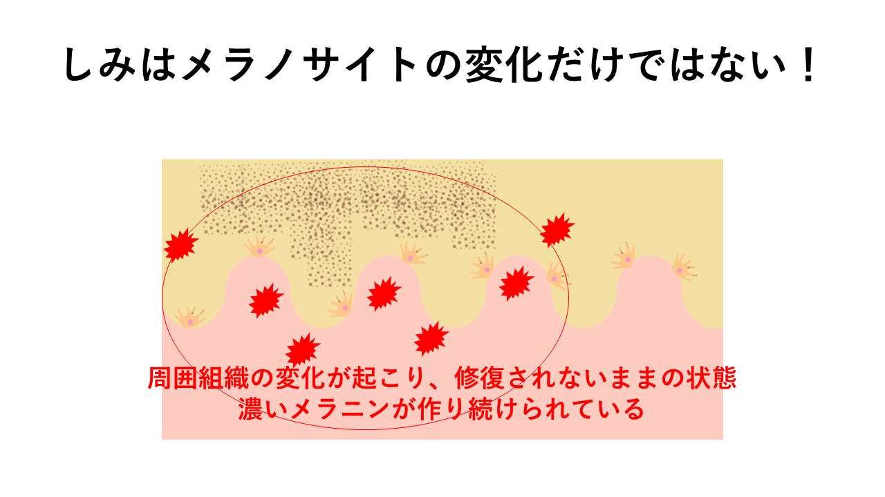 スキンケア