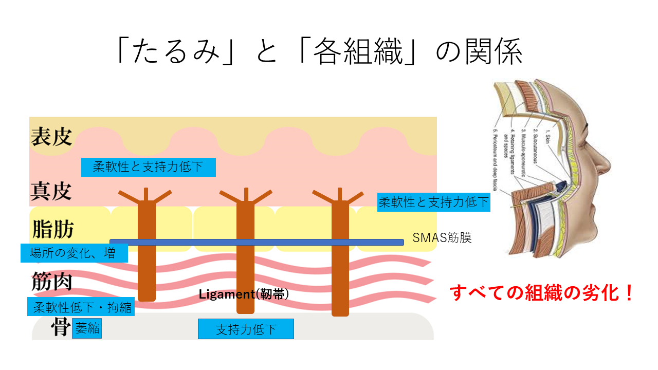 スキンケア