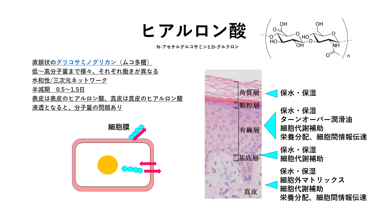 スキンケア