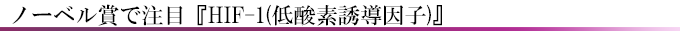 ノーベル賞で注目『HIF-1(低酸素誘導因子)』