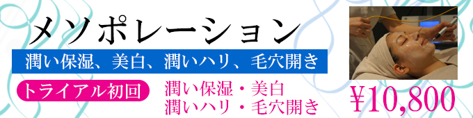 メソポレーションのトライアルプラン