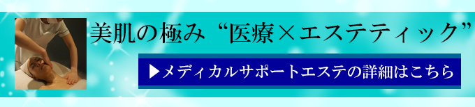 メディカルエステのトライアルプラン