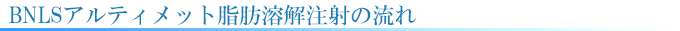 BNLSアルティメット脂肪溶解・輪郭注射の流れ
