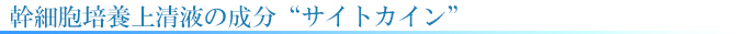 幹細胞培養上清液の成分サイトカイン