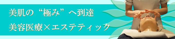 メディカル・サポート・エステ、神奈川・横浜でフェイシャルケア