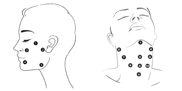 プロファイロの注入方法と回数