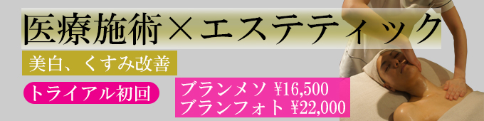 メディカルサポートエステ、美白のトライアルプラン
